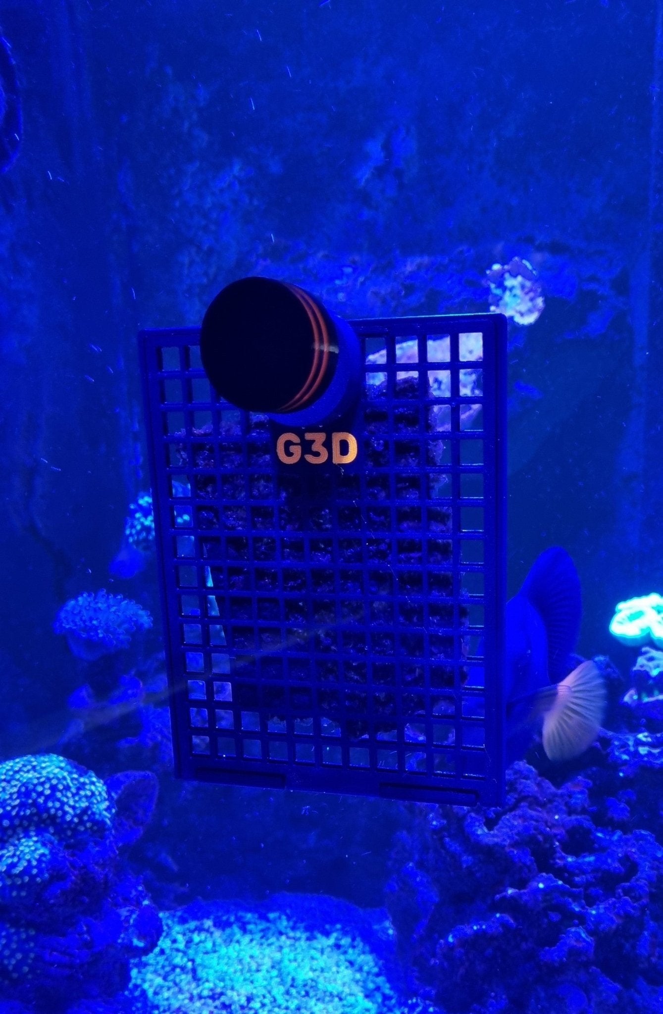 G3D seaweed feeder, Nori feeder, magnetic, saltwater, reef
