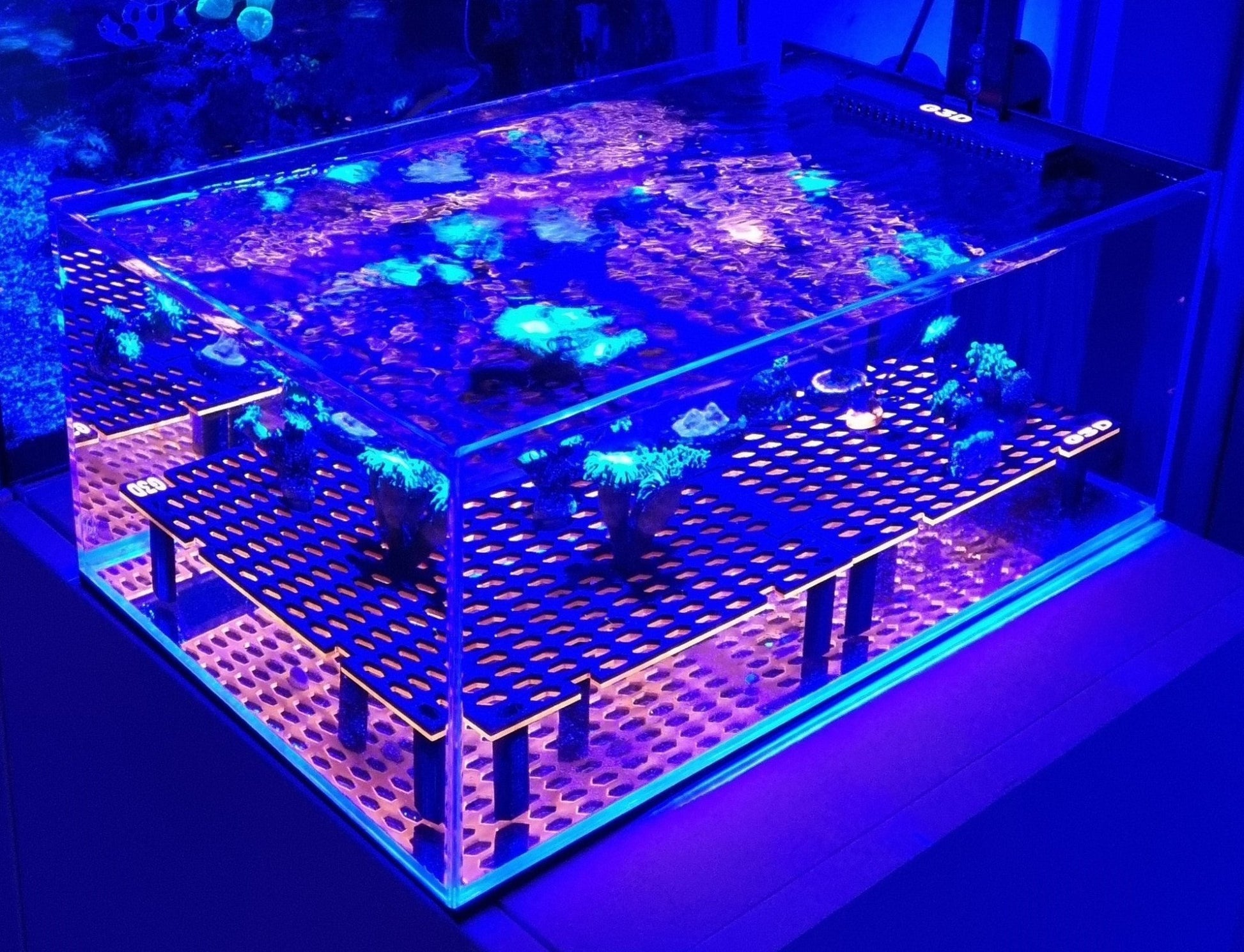 Hex interlocking frag plate system – G3D Design